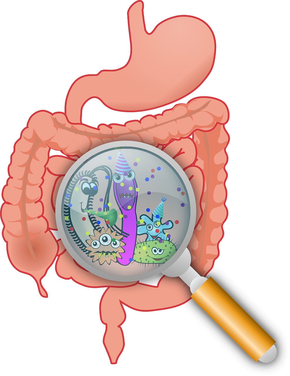 Darmsanierung – Darmbakterien Darmsanierung, Darmgesundheit, Gesund Leben